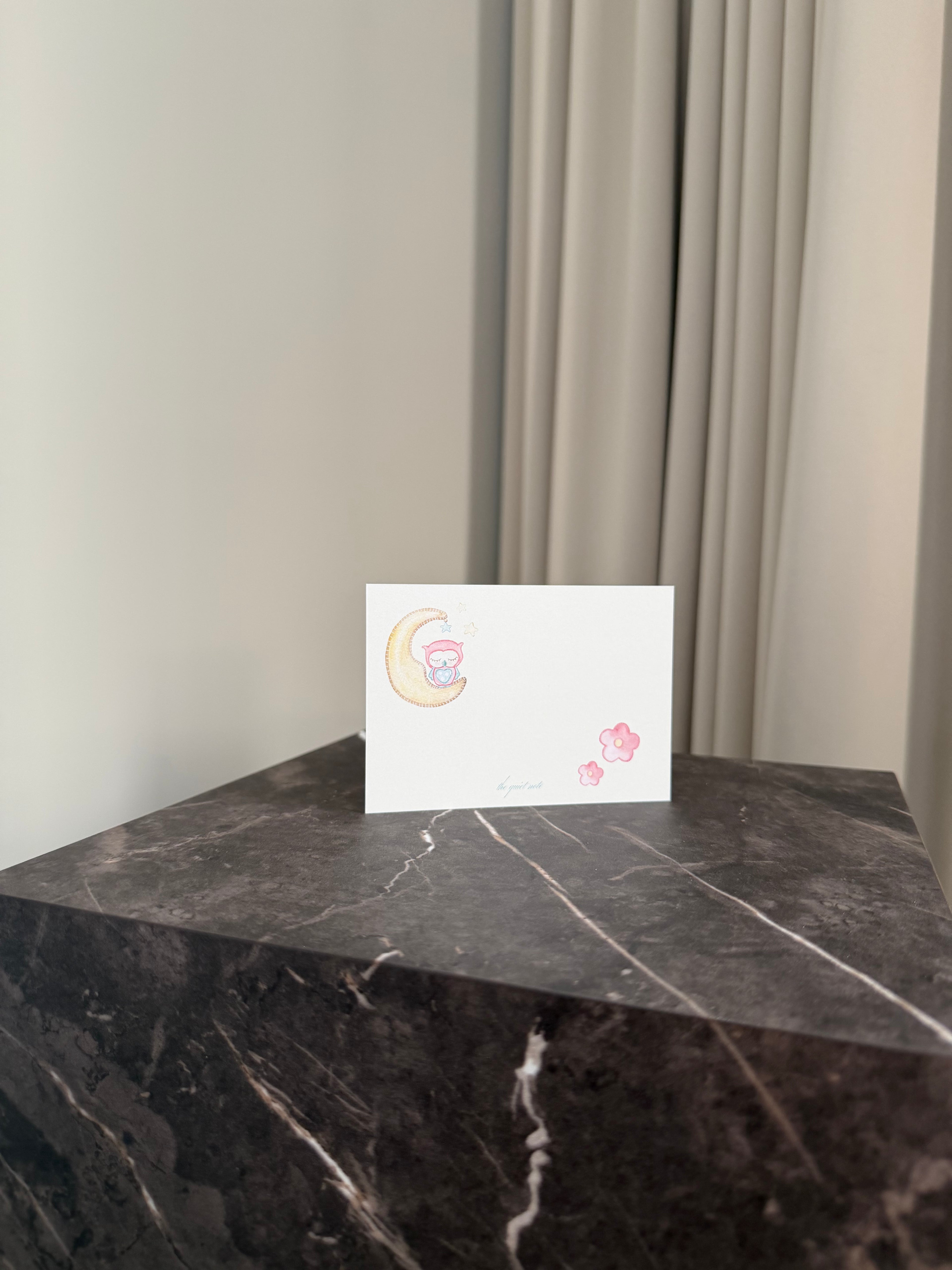 Graduation / Wedding / Newborn