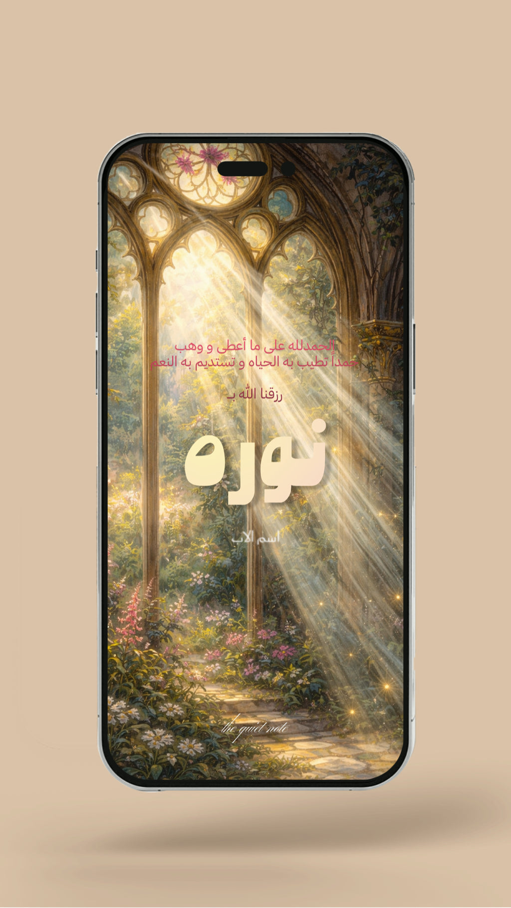 Newborn - My Magical Window