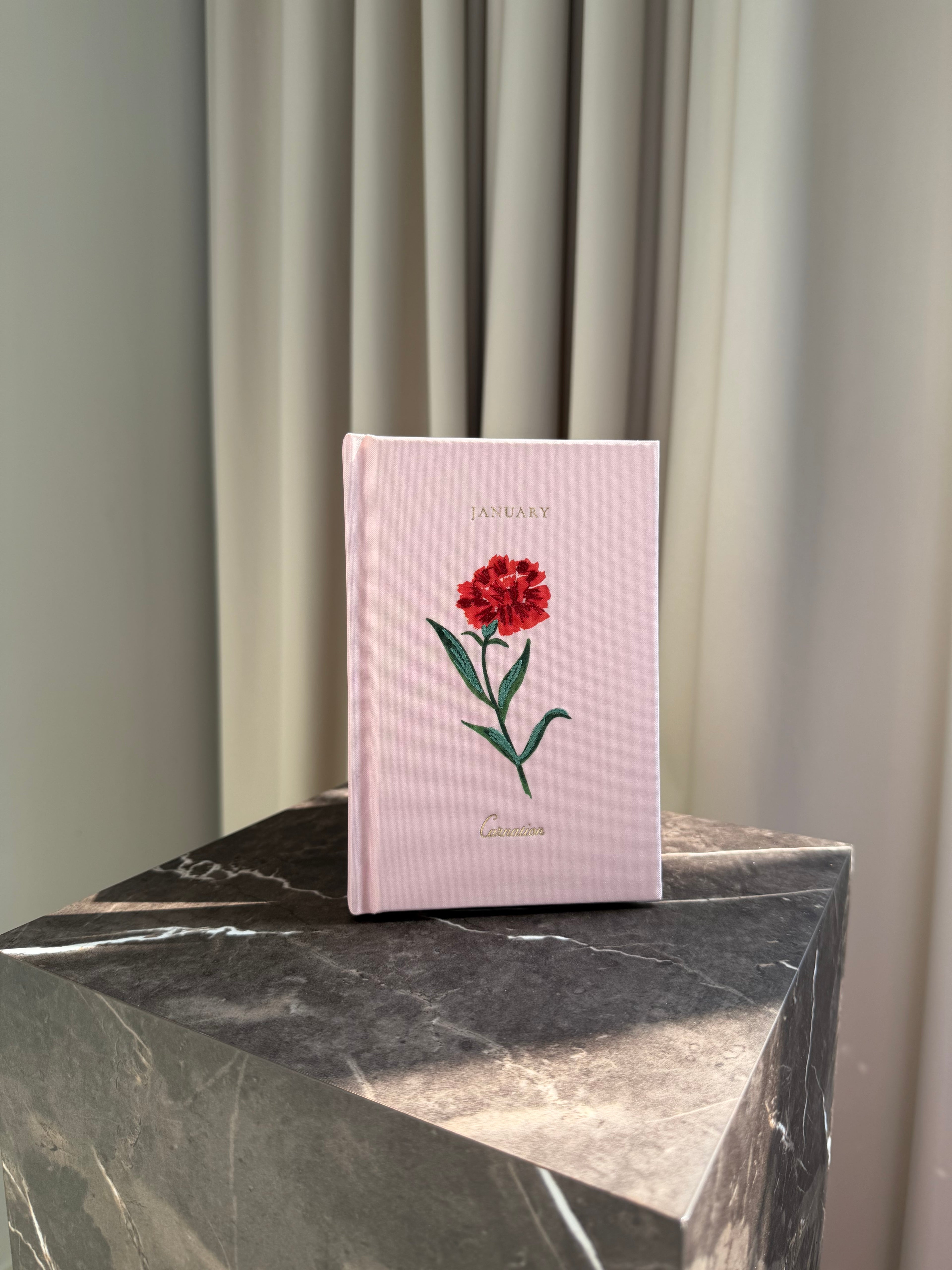 Mini Journal - January