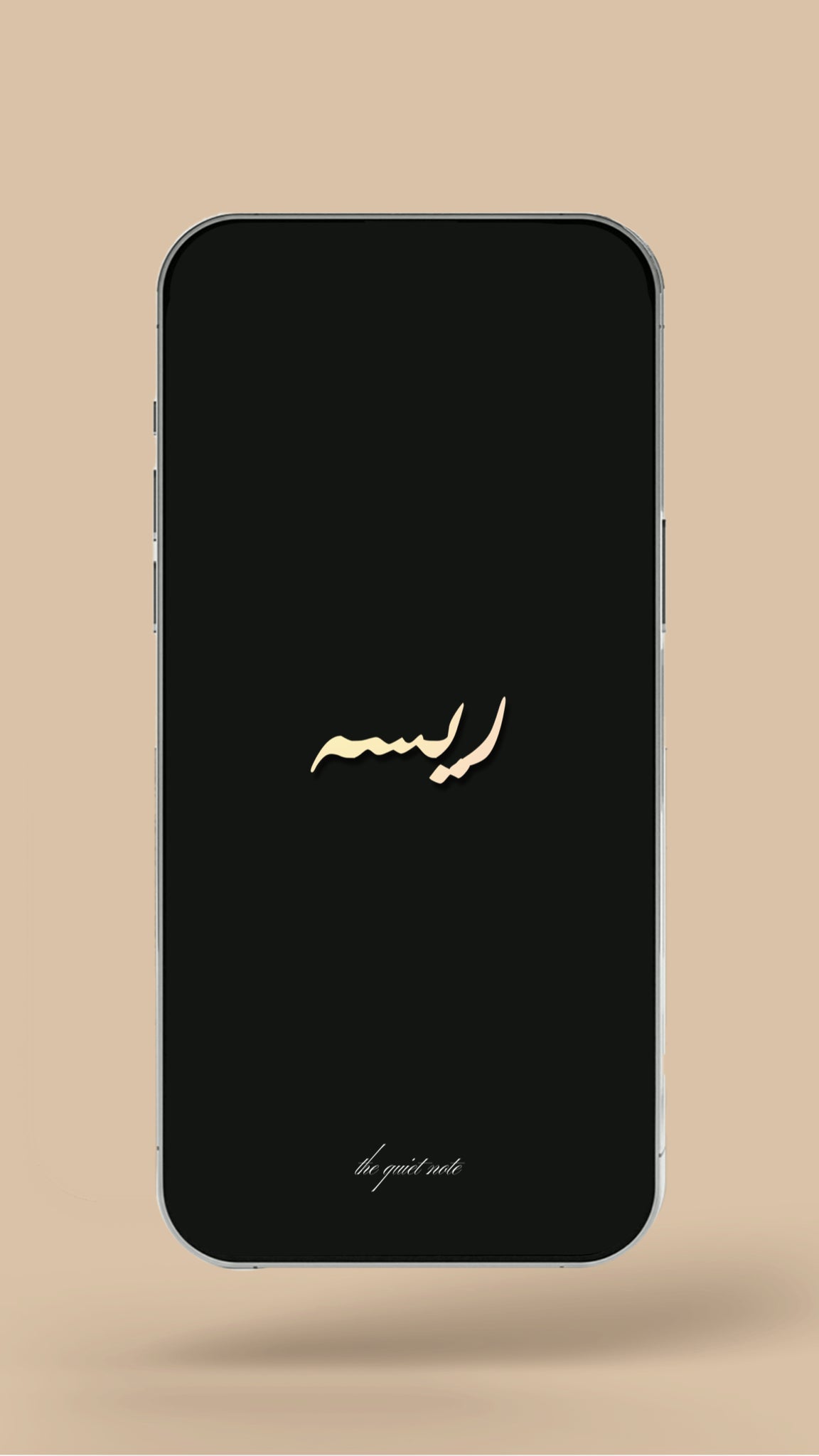 Newborn - The Quiet Lake