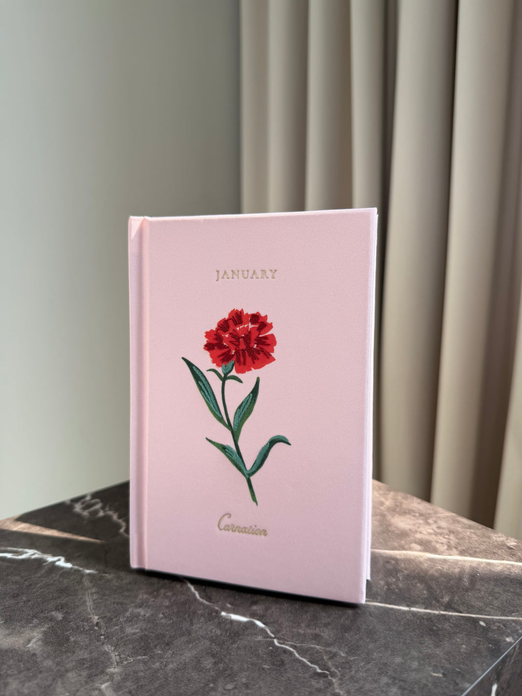 Mini Journal - January