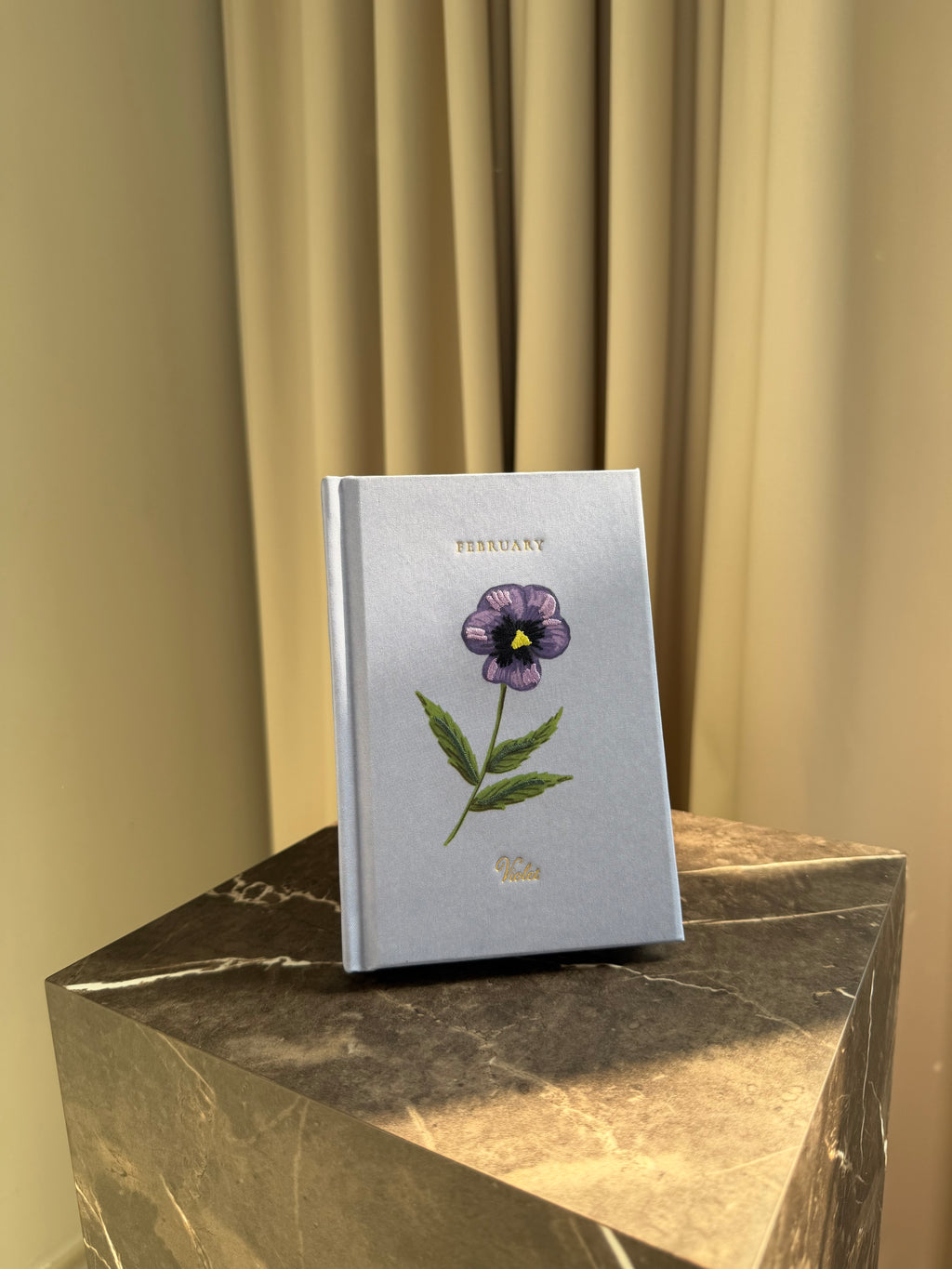 Mini Journal - February