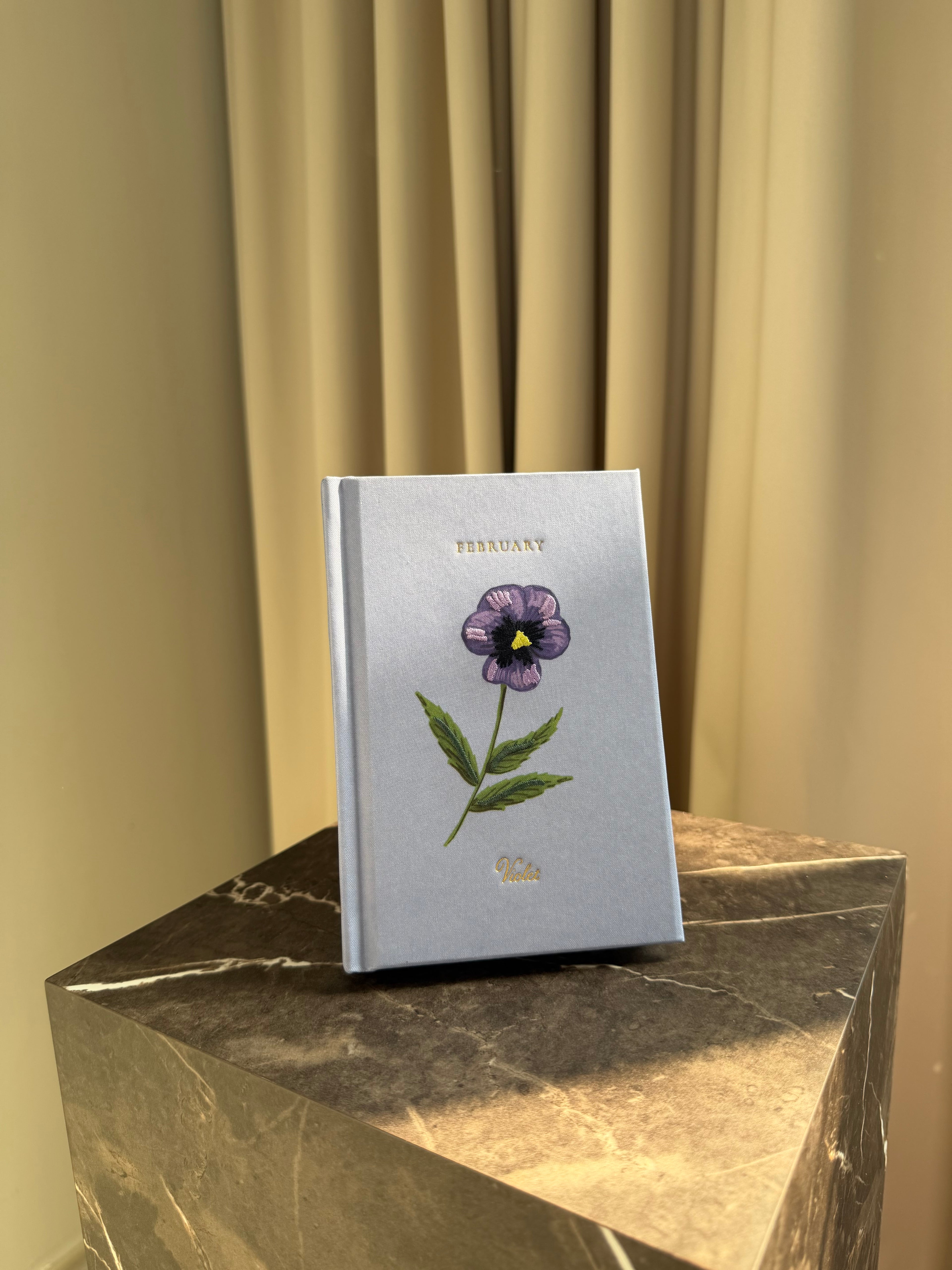 Mini Journal - February