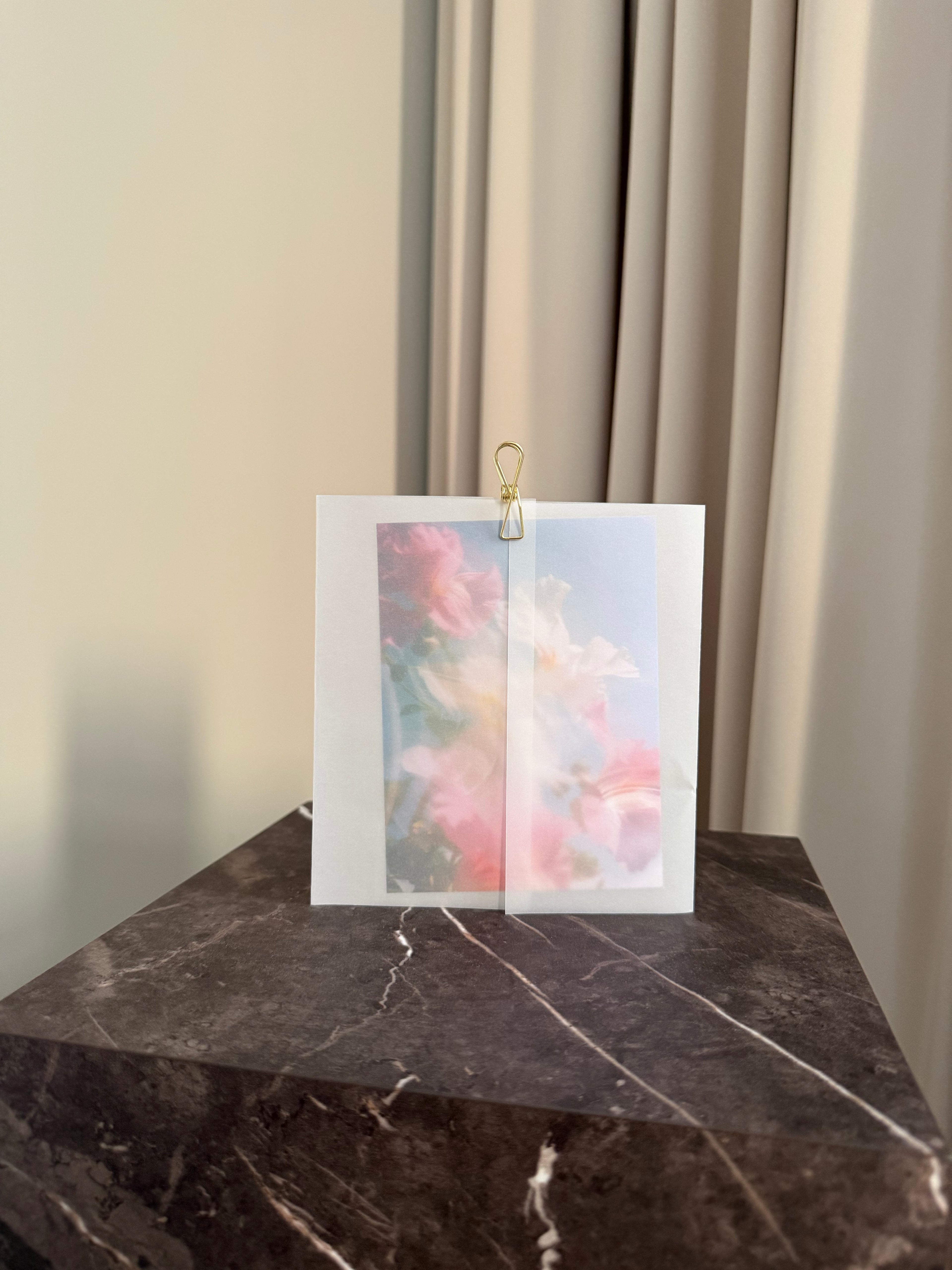 Blooming Wishes - Sky