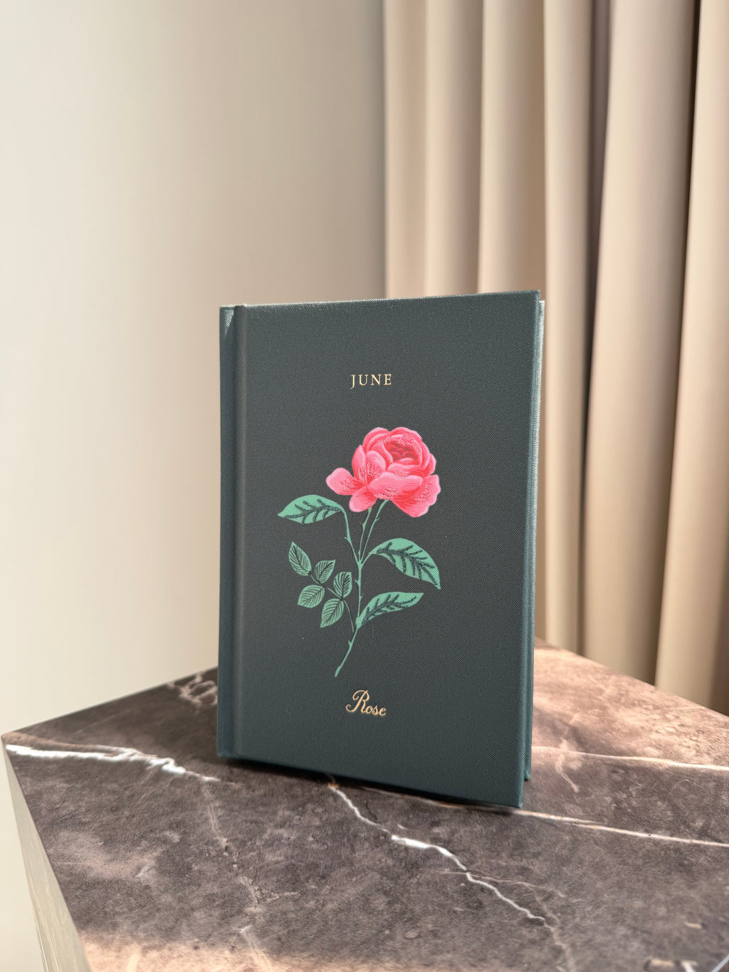 Mini Journal - June