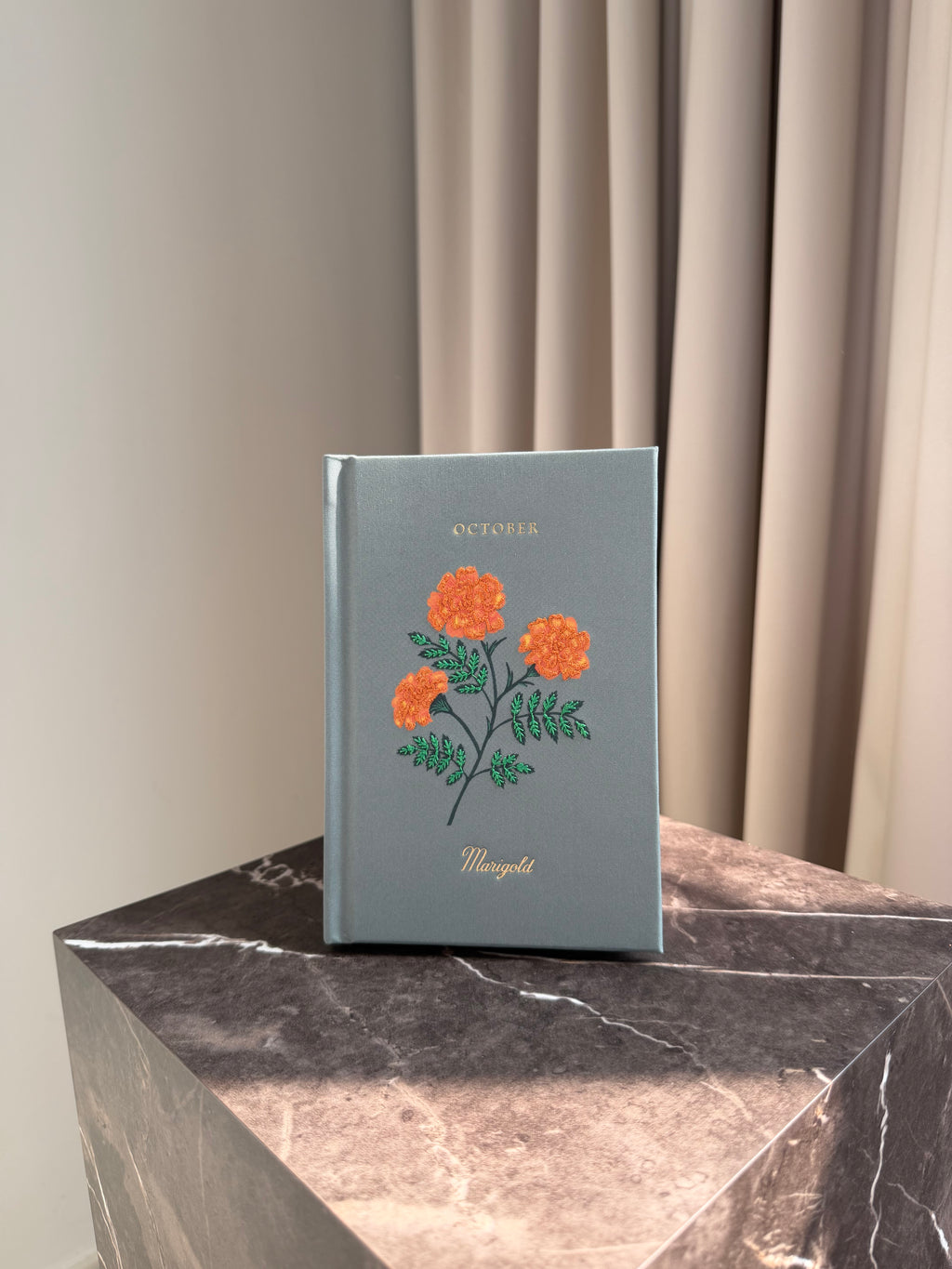 Mini Journal - October