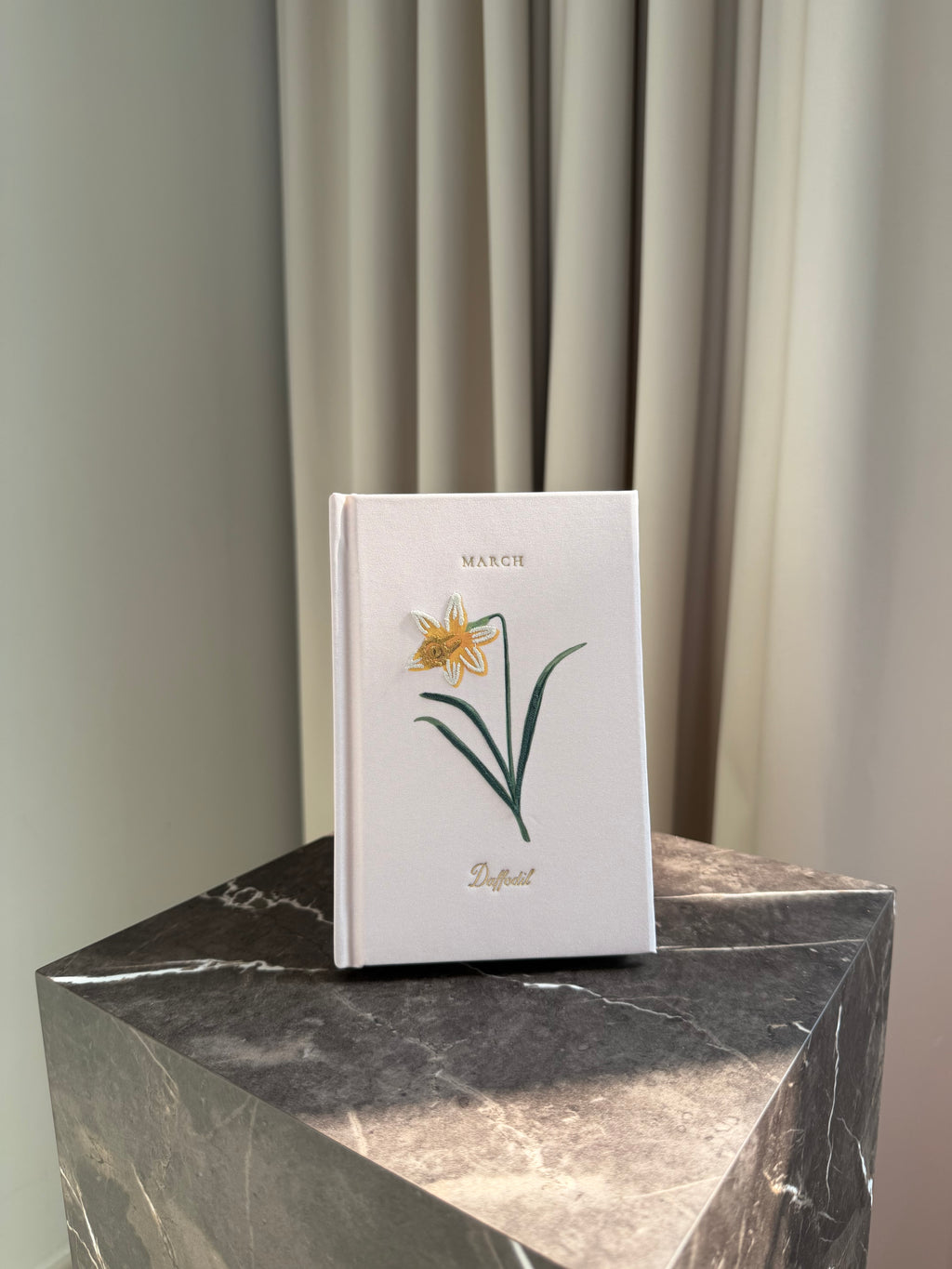 Mini Journal - March