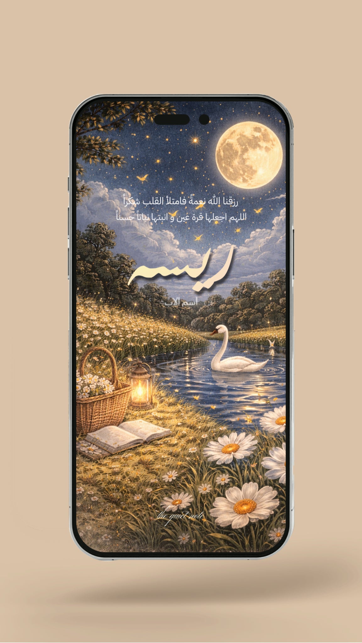 Newborn - The Quiet Lake