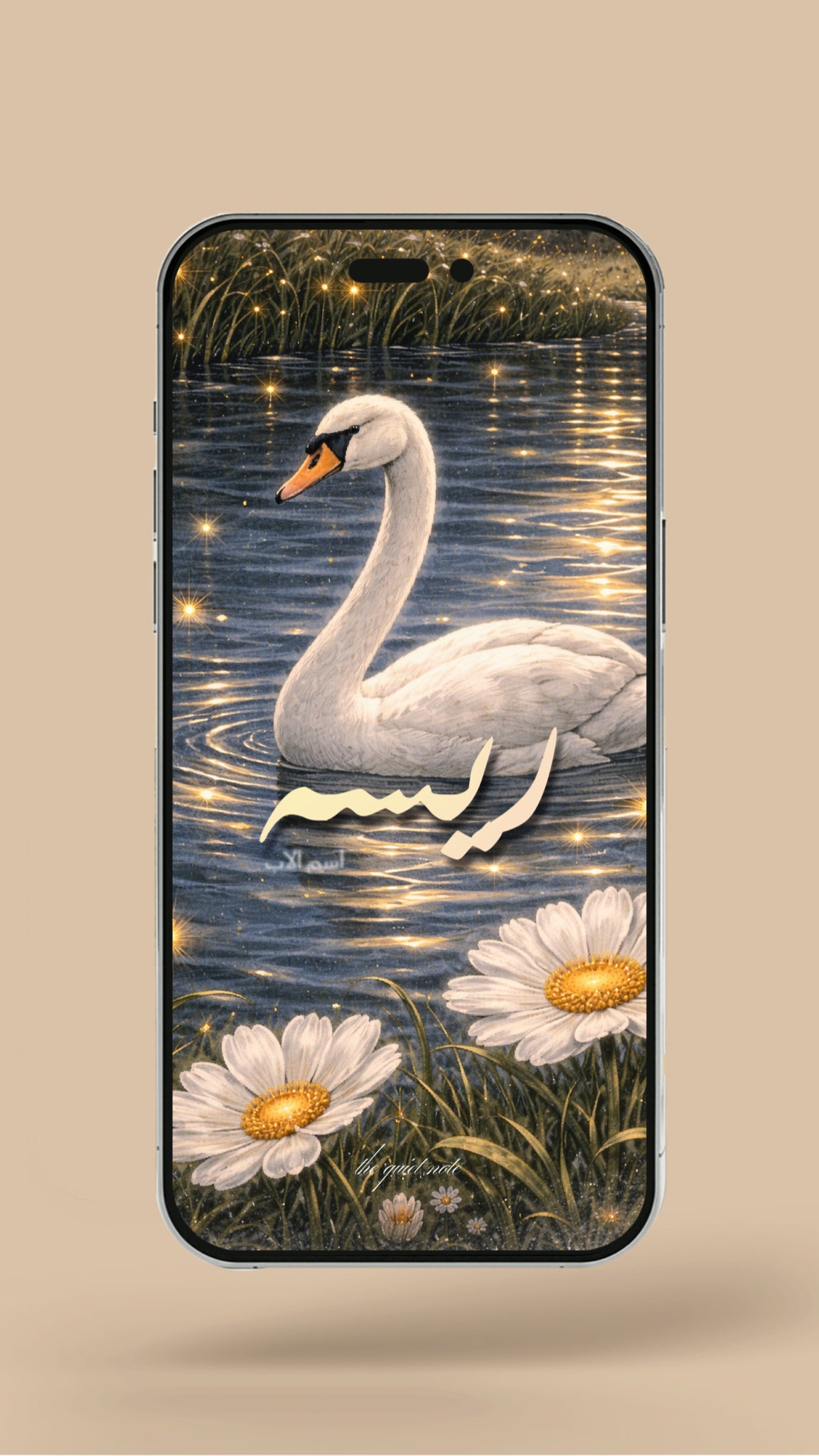 Newborn - The Quiet Lake