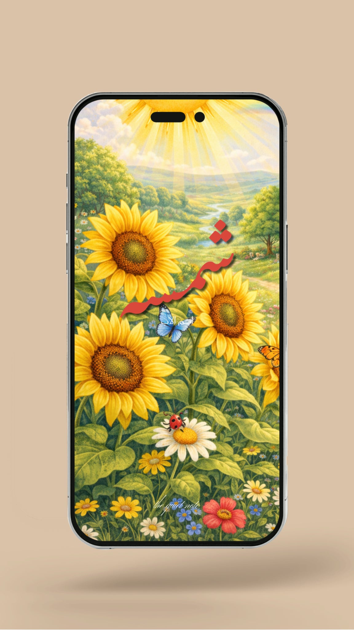 Newborn - My Sunshine