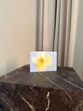 Fading Petals - Yellow