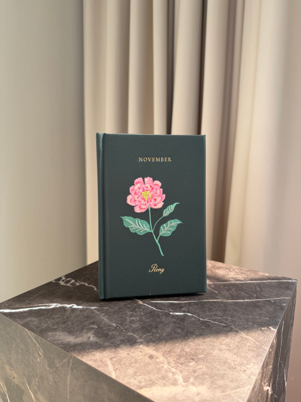 Mini Journal - November