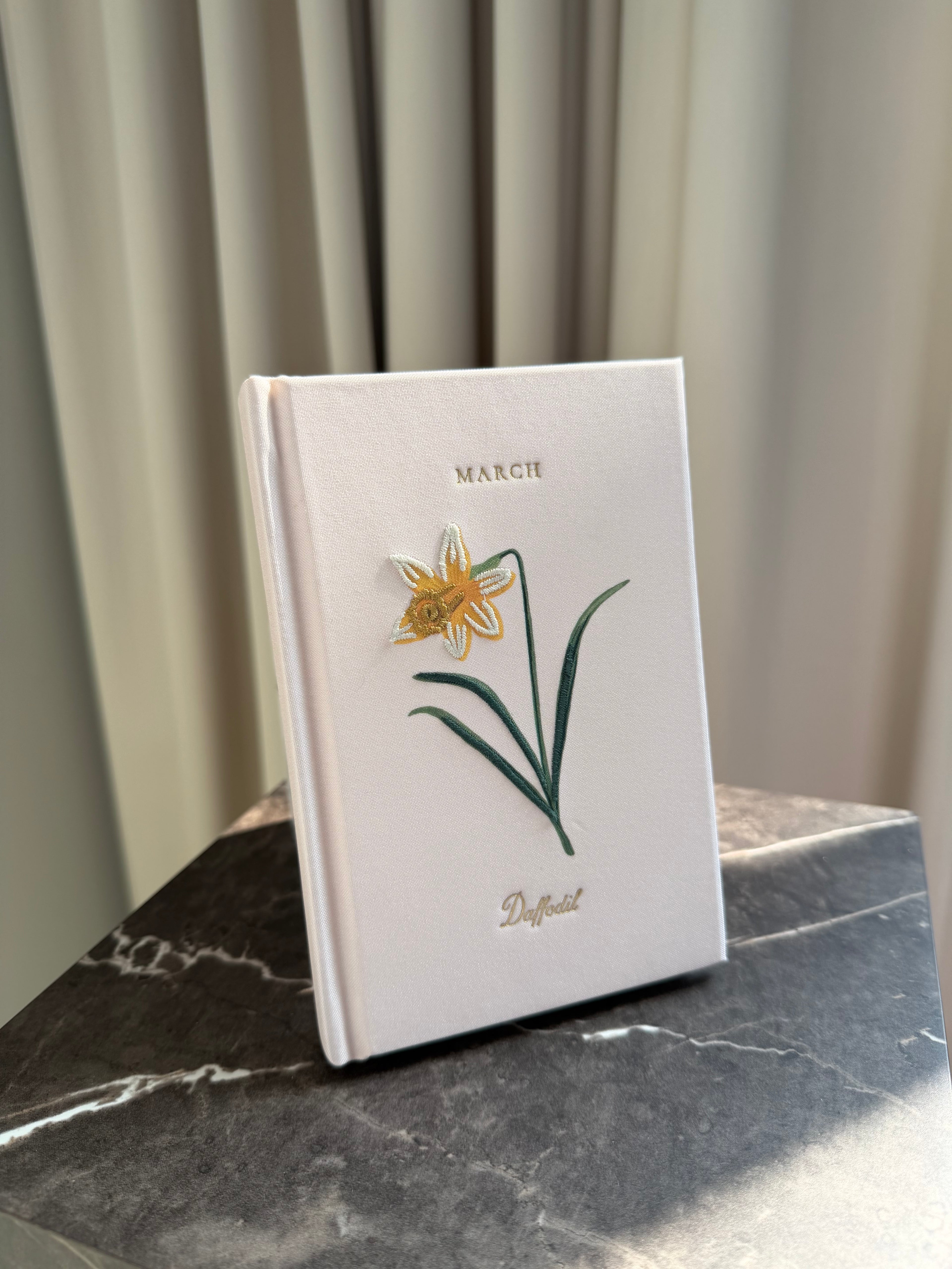 Mini Journal - March