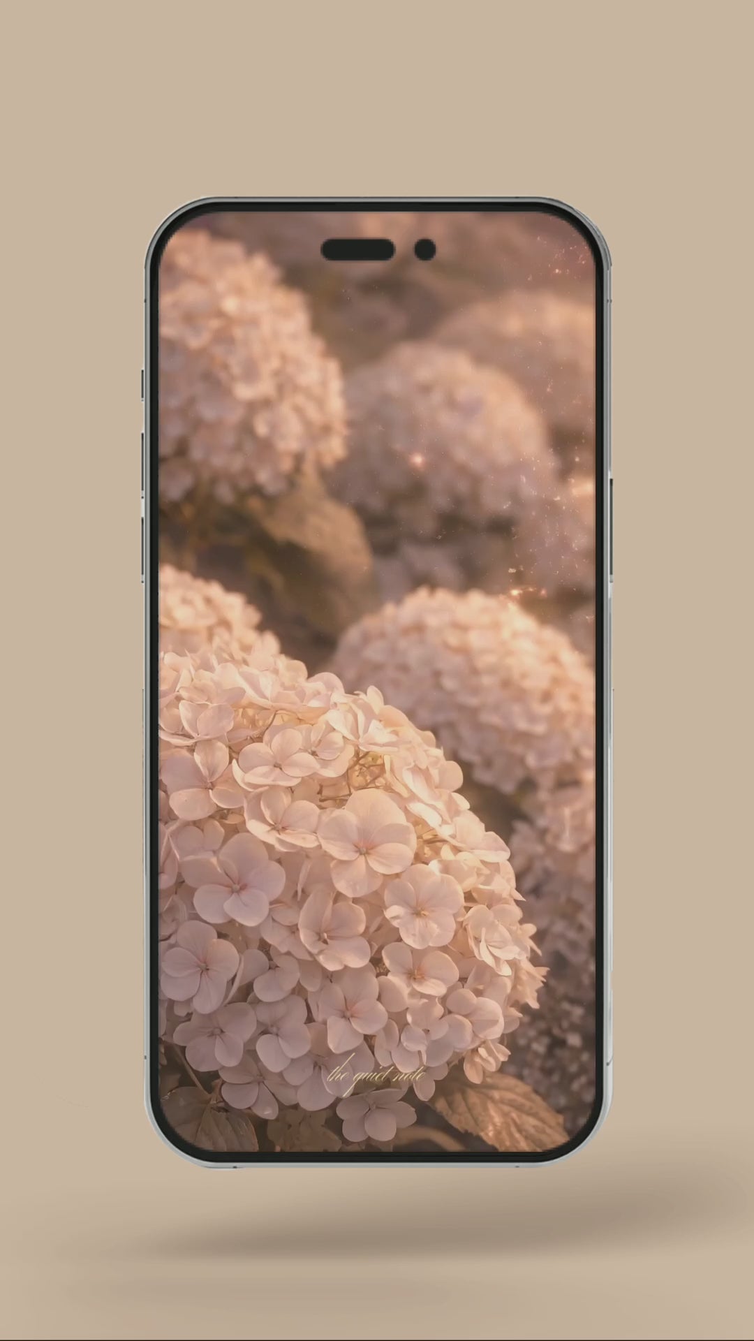 Engagement - Hydrangeas Fairytale