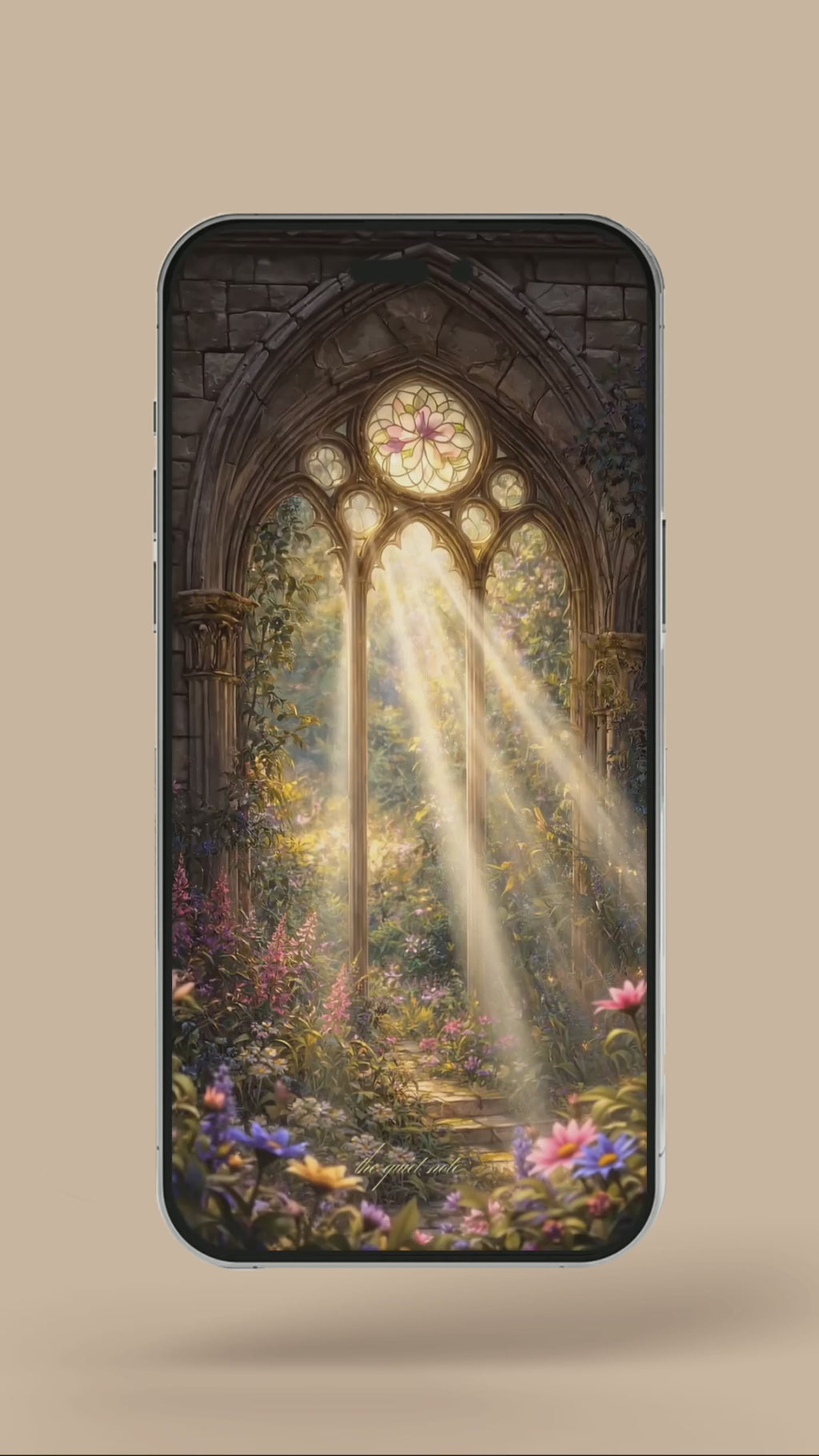 Newborn - My Magical Window