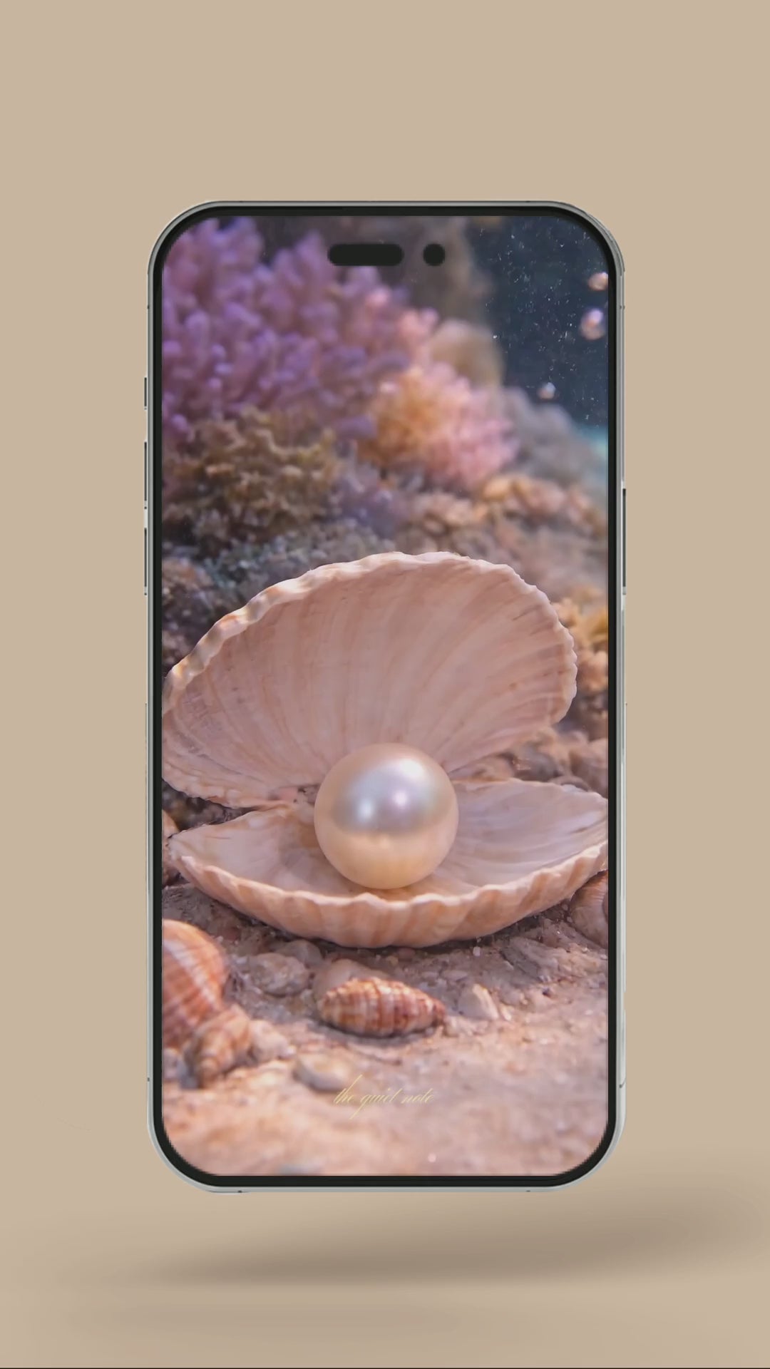 Newborn - Pearl Of The Sea